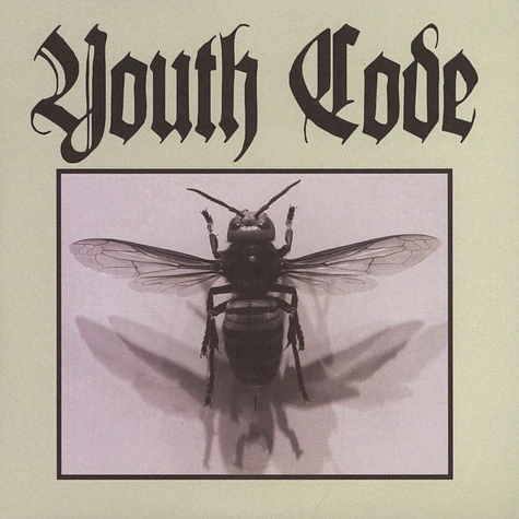Youth Code - Anagnorisis