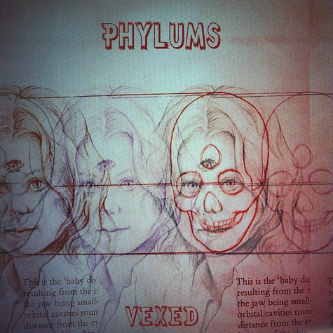 Phylums - Decisions / Vexed