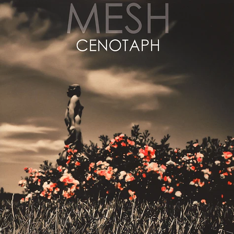 Mesh - Cenotaph