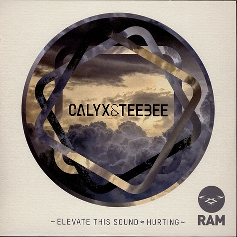 Calyx & Teebee - Elevate This Sound / Hurting