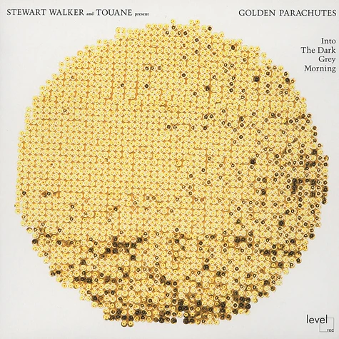 Stewart Walker & Touane Present The Golden Parachutes - Into The Dark Grey Morning