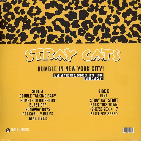 Stray Cats - Rumble In New York City!