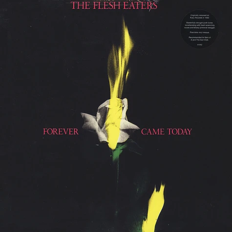 The Flesh Eaters - Forever Came Today