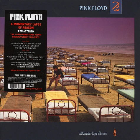 Pink Floyd - Momentary Lapse Of Reason