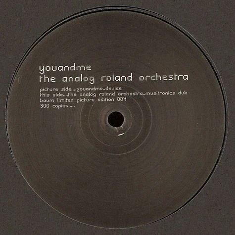 Youandme & The Analog Roland Orchestra - Baum LPE004 Picture Disc Edition