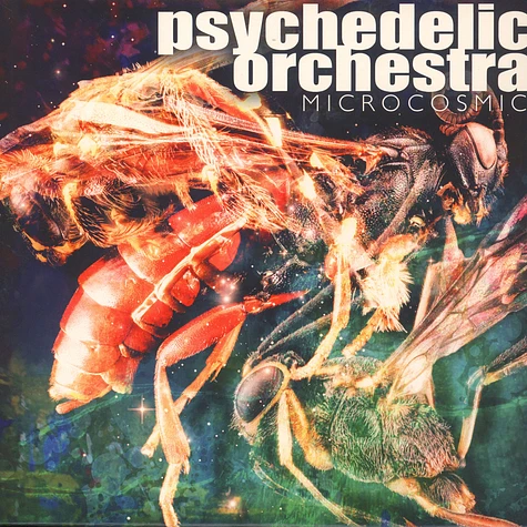 Psychedelic Orchestra - Microcosmic EP