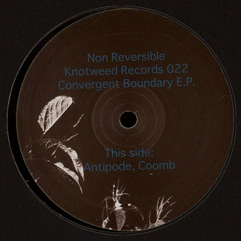 Non Reversible - Convergent Boundary EP
