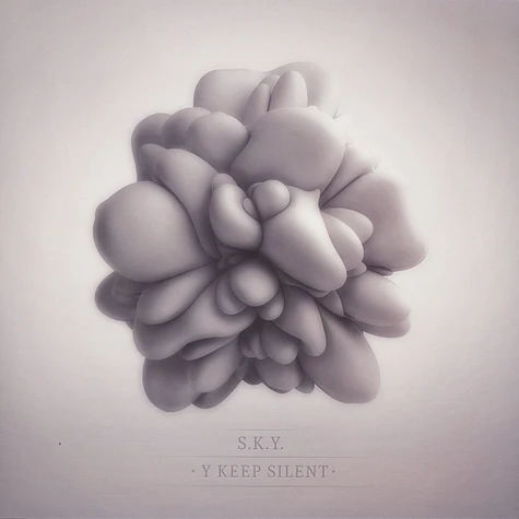 S.K.Y. - Y Keep Silent Folie A Deux Remix