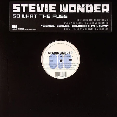 Stevie Wonder - So What The Fuss