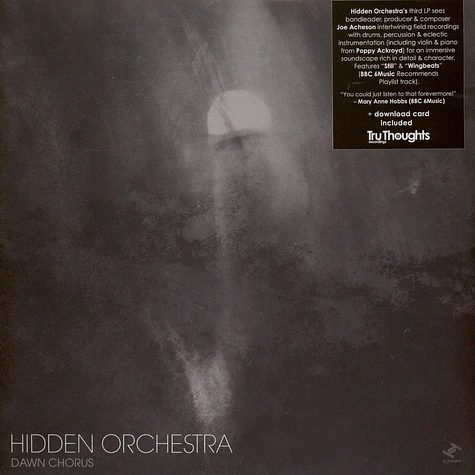 Hidden Orchestra - Dawn Chorus Black Vinyl Edition