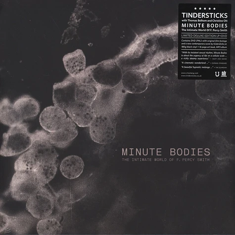 Tindersticks - Minute Bodies