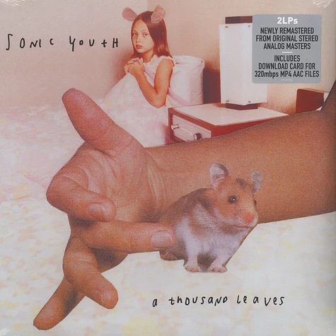 Sonic Youth - A Thousand Leaves