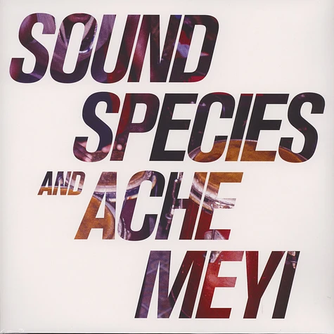 Sound Species & Ache Meyi - Sound Species & Ache Meyi