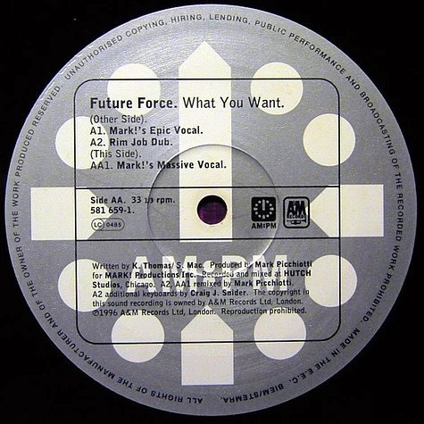 Future Force - What You Want (Mark Picchiotti Mixes)