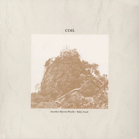 Coil - Another Brown World / Baby Food Black Vinyl Edition