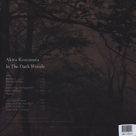 Akira Kosemura - In The Dark Woods