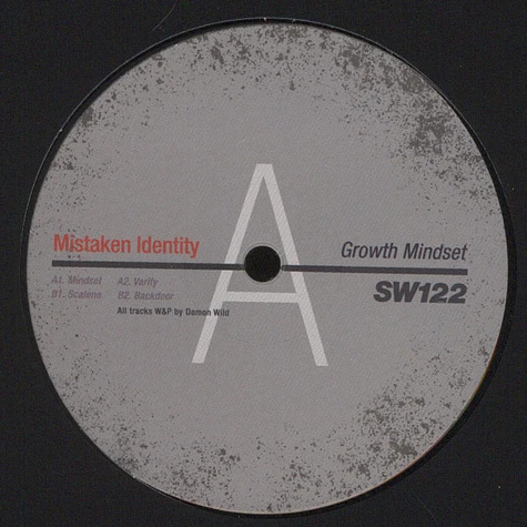 Mistaken Identity (Damon Wild) - Growth Mindset EP