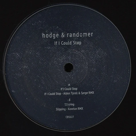 Hodge & Randomer - If I Could Stop