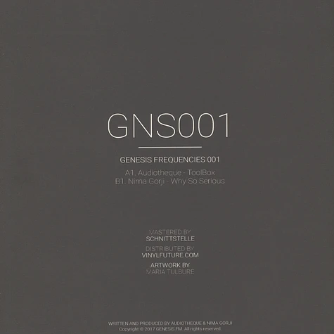 Audiotheque & Nima Gorji - Genesis Frequencies 001
