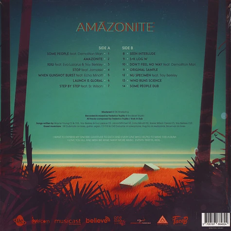 Krak In Dub - Amazonite LP 01