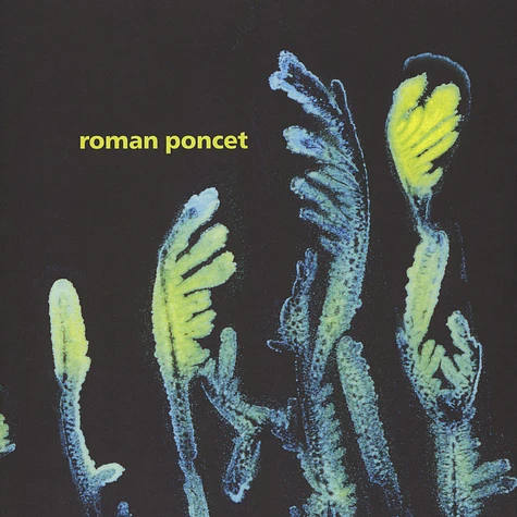 Roman Poncet - Gypsophila