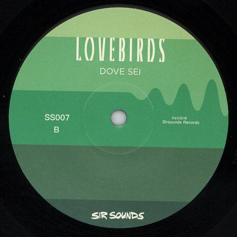 Lovebirds - Dove Sei