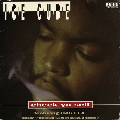 Ice Cube Featuring Das EFX - Check Yo Self