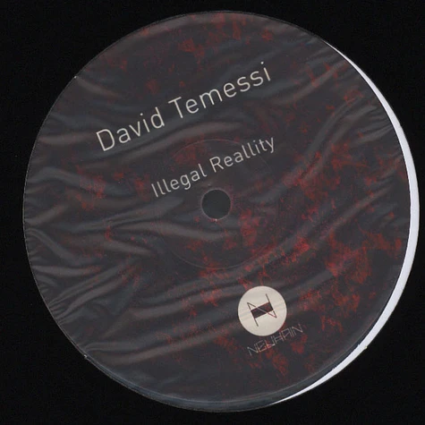 David Temessi - Illegal Reallity