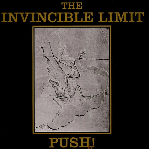 The Invincible Limit - Push! (New Mix)