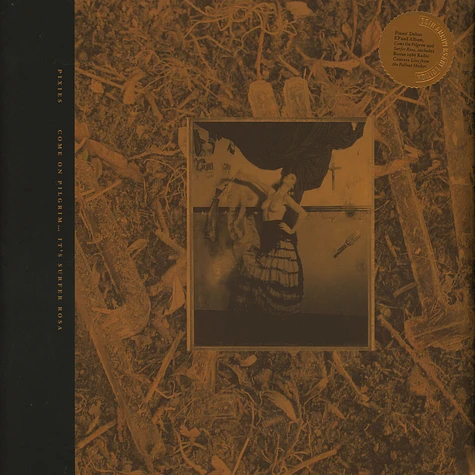 Pixies - Come On Pilgrim-It's Surfer Rosa Gold Vinyl Edition