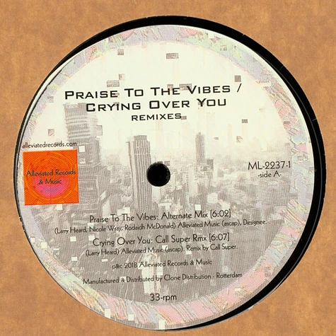 Mr. Fingers - Praise To The Vibes / Crying Over You Remixes