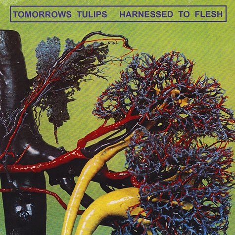 Tomorrows Tulips - Harnessed To Flesh