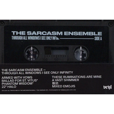 The Sarcasm Ensemble - Through All Windows I See Only Infinity