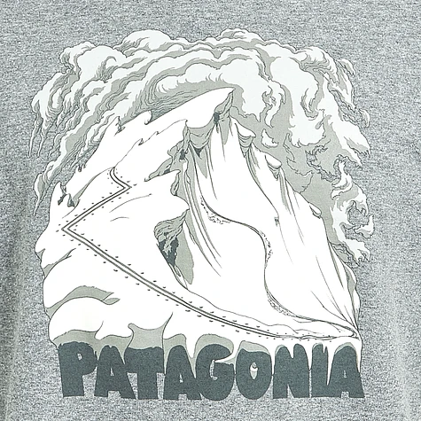 Patagonia - Cornice Canvas Responsibili-Tee