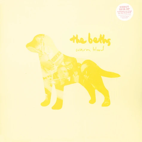 The Beths - Experts In A Dying Field Deluxe Baby Blue Vinyl Edition - Vinyl  2LP - 2022 - US - Reissue