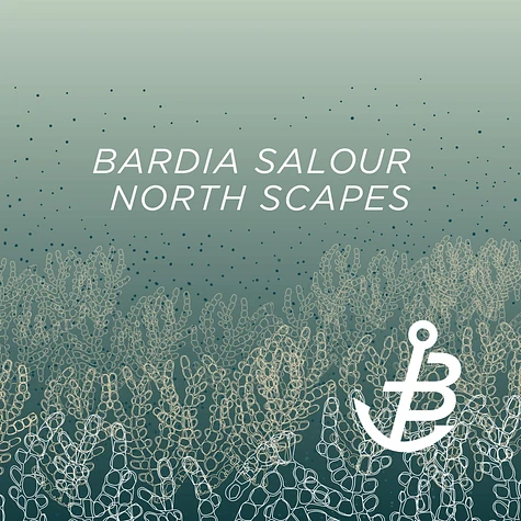 Bardia Salour - North Scapes Peter Schumann Remix
