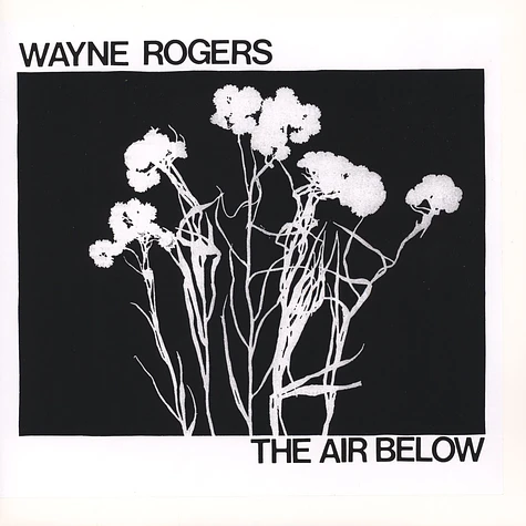 Wayne Rogers - The Air Below