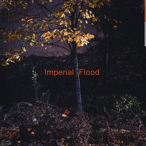 Logos - Imperial Flood