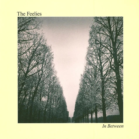 The Feelies - In Between