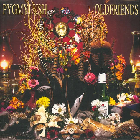 Pygmy Lush - Old Friends