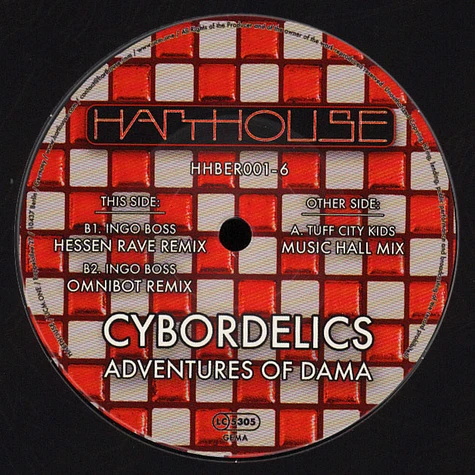 Cybordelics - Adventures Of Dama 2019