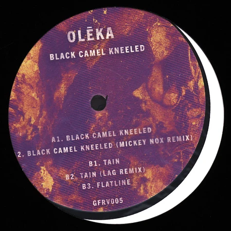 Oleka - Black Camel Kneeled