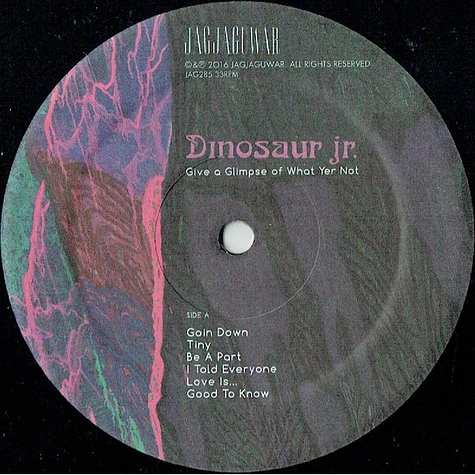 Dinosaur Jr - Give A Glimpse Of What Yer Not