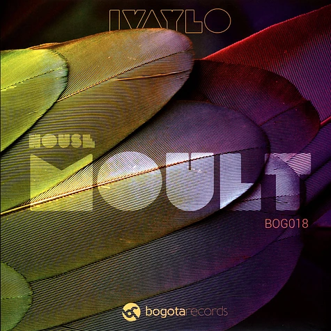 Ivaylo - House Moult