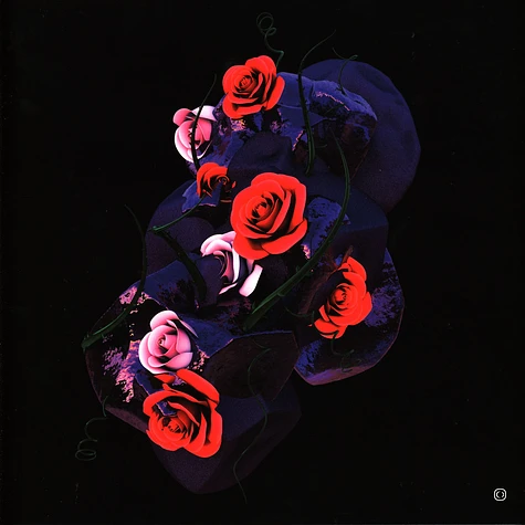 Hyroglifics - Stone Rose EP