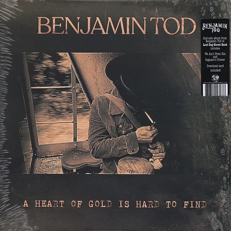 Benjamin Tod of Lost Dog Street Band - A Heart Of Gold Is Hard To Find