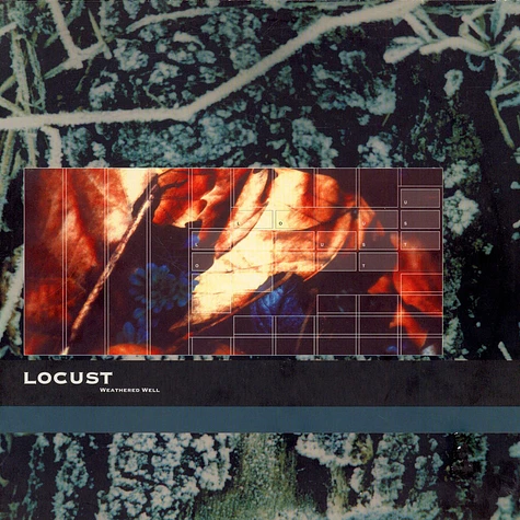 洋楽 Locust Weathered Well 2LP Locust - Weathered Well - Vinyl 2LP - 1994 - BE - Original | HHV