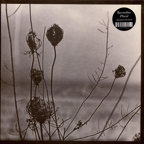 Recondite - Placid