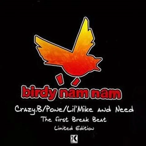 Birdy Nam Nam - The First Break Beat