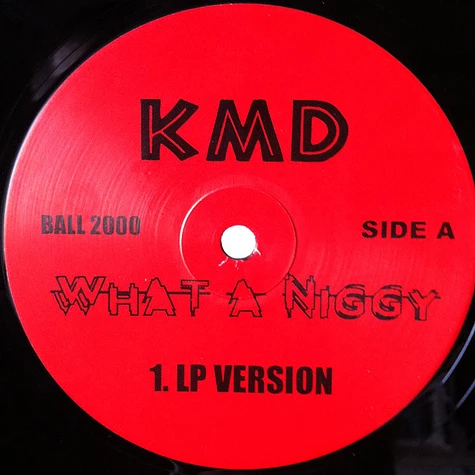 Del Tha Funkee Homosapien / KMD - Wrong Place / What A Niggy